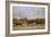 A Steeplechase-Carl Frederic Aagaard-Framed Giclee Print