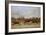 A Steeplechase-Carl Frederic Aagaard-Framed Giclee Print