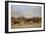 A Steeplechase-Carl Frederic Aagaard-Framed Giclee Print