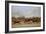 A Steeplechase-Carl Frederic Aagaard-Framed Giclee Print