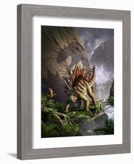 A Stegosaurus Is Surprised by an Allosarous While Feeding in a Lush Gorge-null-Framed Art Print