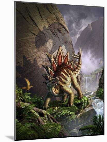 A Stegosaurus Is Surprised by an Allosarous While Feeding in a Lush Gorge-null-Mounted Art Print