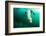 A Steller sea lion (Eumetopias jubatus) speeding in front of the camera, British Columbia, Canada-David Salvatori-Framed Photographic Print