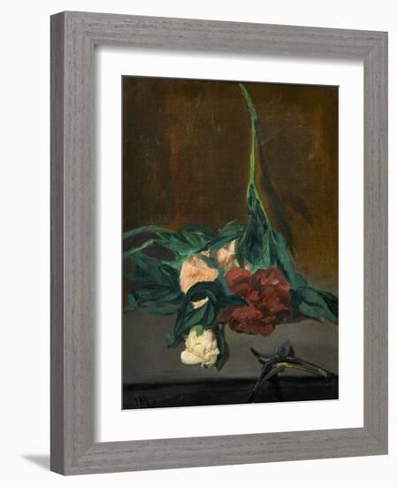 A Stem of Peonies and Pruning Shears, 1864-Edouard Manet-Framed Giclee Print