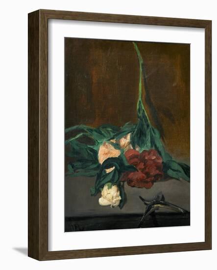 A Stem of Peonies and Pruning Shears, 1864-Edouard Manet-Framed Giclee Print