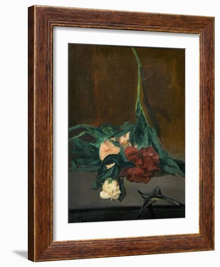 A Stem of Peonies and Pruning Shears, 1864-Edouard Manet-Framed Giclee Print