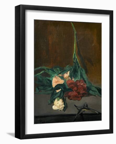 A Stem of Peonies and Pruning Shears, 1864-Edouard Manet-Framed Giclee Print