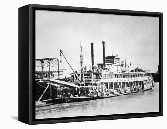 A Stern-Wheeler Loaded with Cotton Bales at New Orleans, C.1900 (B/W Photo)-American-Framed Premier Image Canvas