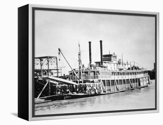 A Stern-Wheeler Loaded with Cotton Bales at New Orleans, C.1900 (B/W Photo)-American-Framed Premier Image Canvas