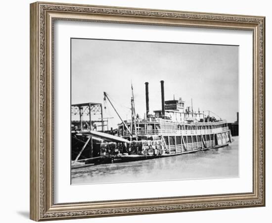 A Stern-Wheeler Loaded with Cotton Bales at New Orleans, C.1900 (B/W Photo)-American-Framed Giclee Print