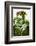 A Still Life Featuring Assorted Fresh Vegetables from the Garden on an Old Green Table-Sabine Löscher-Framed Photographic Print