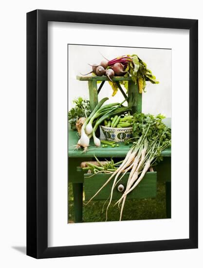 A Still Life Featuring Assorted Fresh Vegetables from the Garden on an Old Green Table-Sabine Löscher-Framed Photographic Print