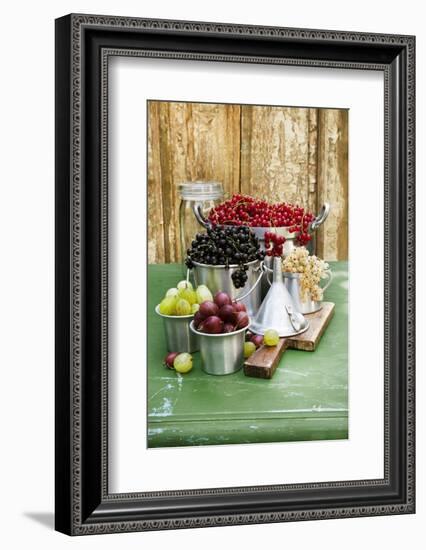 A Still Life of Currants and Gooseberries in Assorted Aluminium Containers-Sabine Löscher-Framed Photographic Print