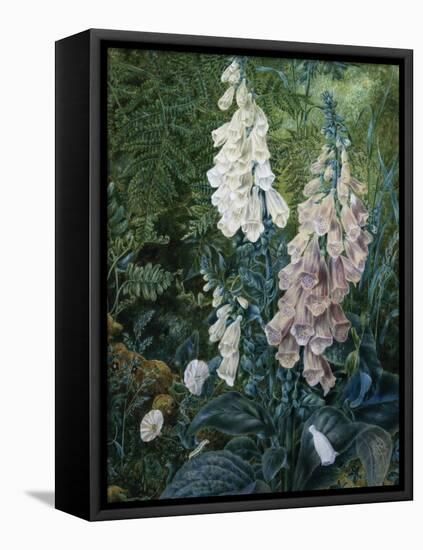 A Still Life of Foxgloves-Mary Margetts-Framed Premier Image Canvas