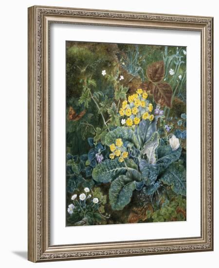 A Still Life of Polyanthus and Butterfly-Mary Margetts-Framed Giclee Print