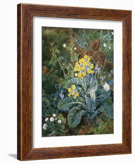 A Still Life of Polyanthus and Butterfly-Mary Margetts-Framed Giclee Print