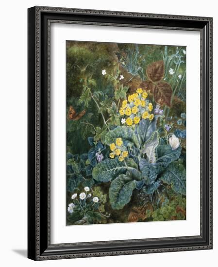 A Still Life of Polyanthus and Butterfly-Mary Margetts-Framed Giclee Print