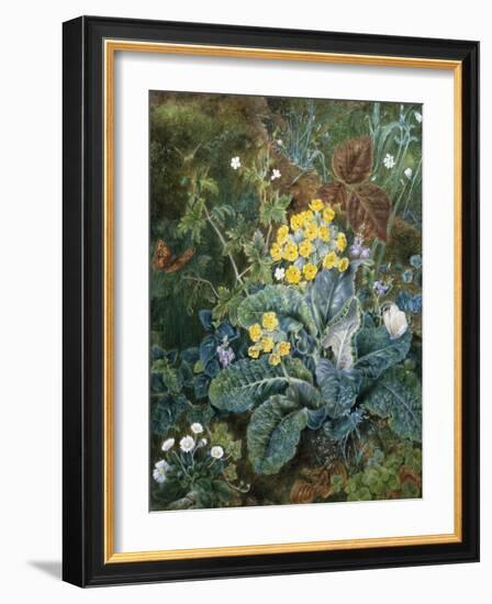 A Still Life of Polyanthus and Butterfly-Mary Margetts-Framed Giclee Print