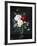 A Still Life of Roses and Clematis-Olaf August Hermansen-Framed Photographic Print