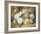 A Still Life of Roses-Thomas Frederick Collier-Framed Giclee Print