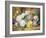 A Still Life of Roses-Thomas Frederick Collier-Framed Giclee Print