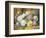 A Still Life of Roses-Thomas Frederick Collier-Framed Giclee Print