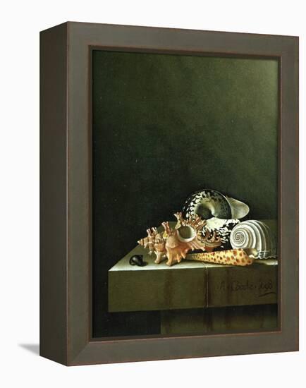 A Still Life of Shells, 1698-Adrian Coorte-Framed Premier Image Canvas