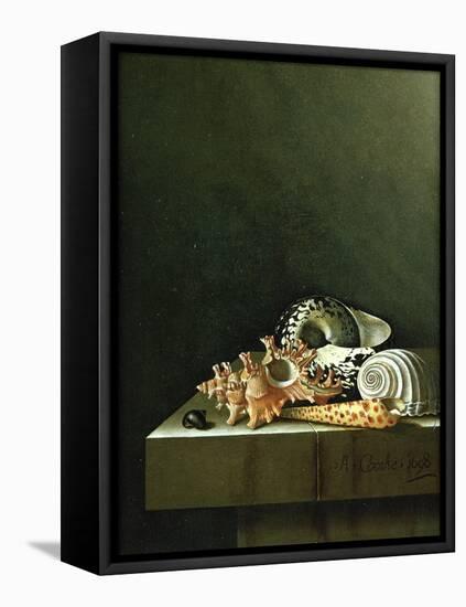 A Still Life of Shells, 1698-Adrian Coorte-Framed Premier Image Canvas