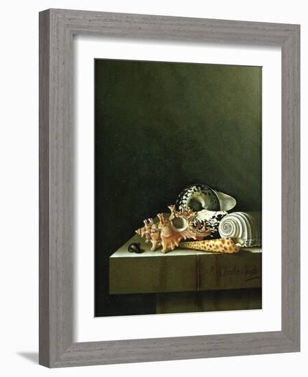 A Still Life of Shells, 1698-Adrian Coorte-Framed Giclee Print