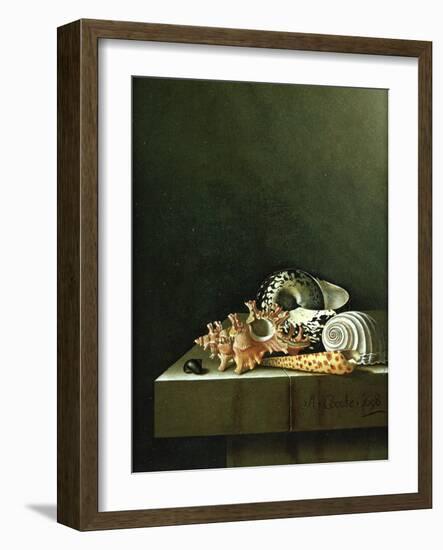 A Still Life of Shells, 1698-Adrian Coorte-Framed Giclee Print