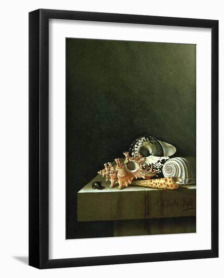 A Still Life of Shells, 1698-Adrian Coorte-Framed Giclee Print