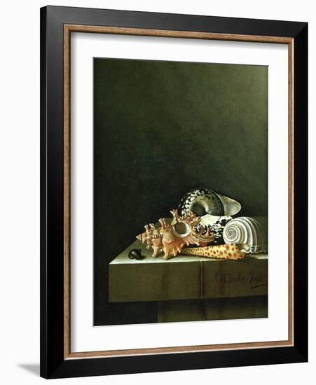 A Still Life of Shells, 1698-Adrian Coorte-Framed Giclee Print