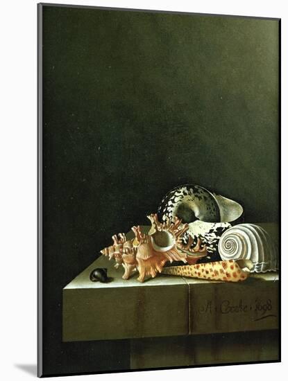 A Still Life of Shells, 1698-Adrian Coorte-Mounted Giclee Print