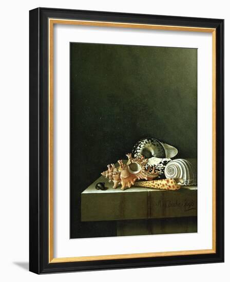 A Still Life of Shells, 1698-Adrian Coorte-Framed Giclee Print