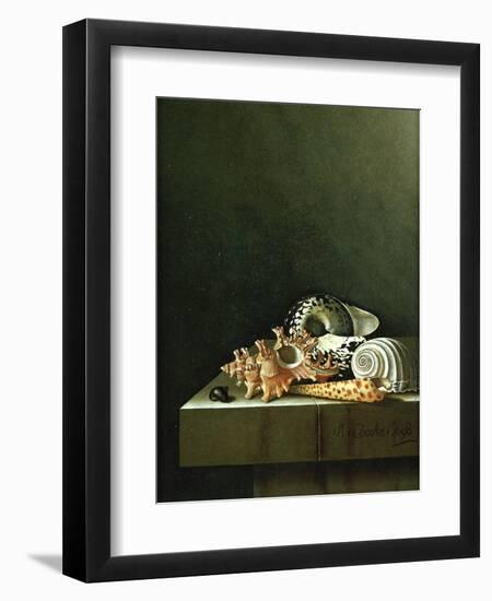 A Still Life of Shells, 1698-Adrian Coorte-Framed Giclee Print