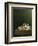 A Still Life of Shells, 1698-Adrian Coorte-Framed Giclee Print