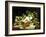 A Still Life with Fruit, Fish, Game and a Goldfish Bowl-Lucas Schaefels-Framed Giclee Print