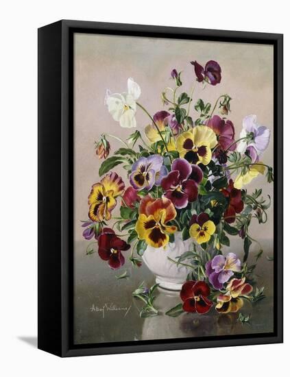 A Still Life with Pansies-Albert Williams-Framed Premier Image Canvas