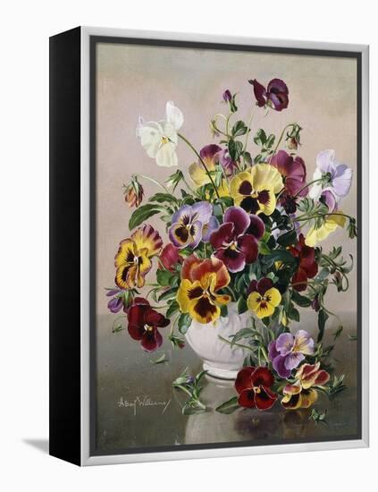 A Still Life with Pansies-Albert Williams-Framed Premier Image Canvas