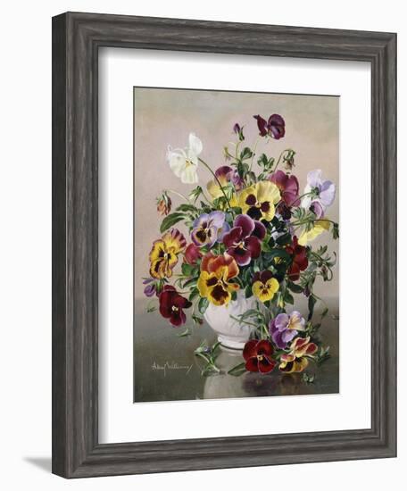 A Still Life with Pansies-Albert Williams-Framed Giclee Print