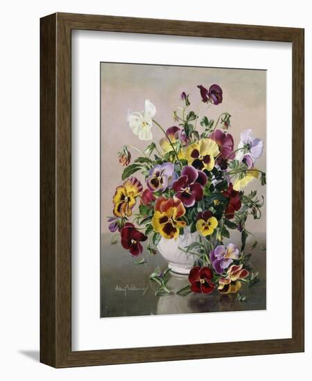 A Still Life with Pansies-Albert Williams-Framed Giclee Print