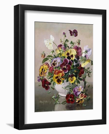 A Still Life with Pansies-Albert Williams-Framed Giclee Print