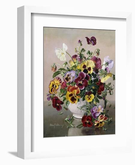 A Still Life with Pansies-Albert Williams-Framed Giclee Print