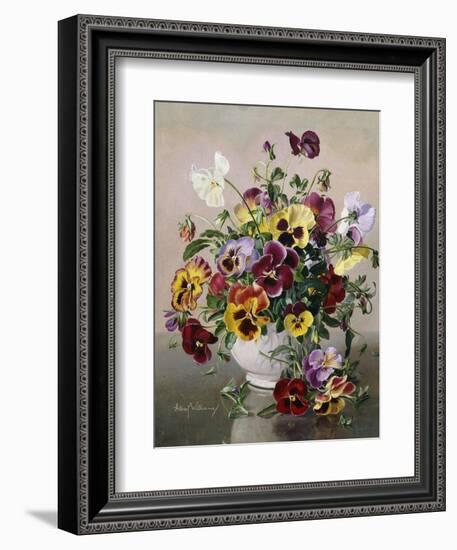 A Still Life with Pansies-Albert Williams-Framed Giclee Print