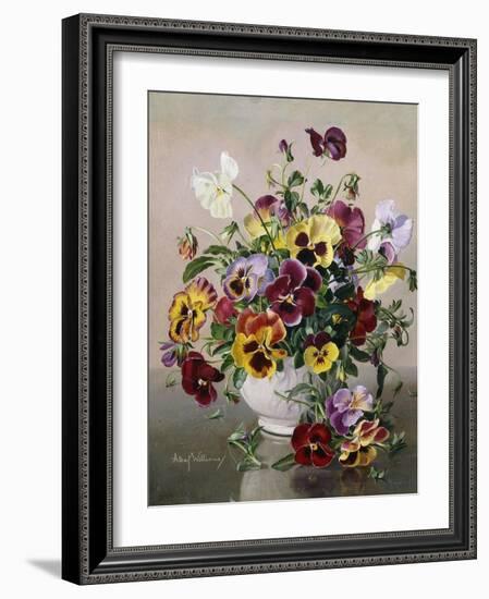 A Still Life with Pansies-Albert Williams-Framed Giclee Print