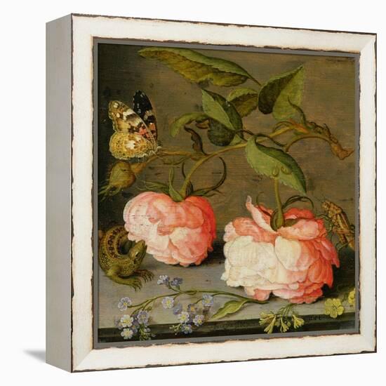 A Still Life with Roses on a Ledge-Balthasar van der Ast-Framed Premier Image Canvas