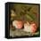 A Still Life with Roses on a Ledge-Balthasar van der Ast-Framed Premier Image Canvas