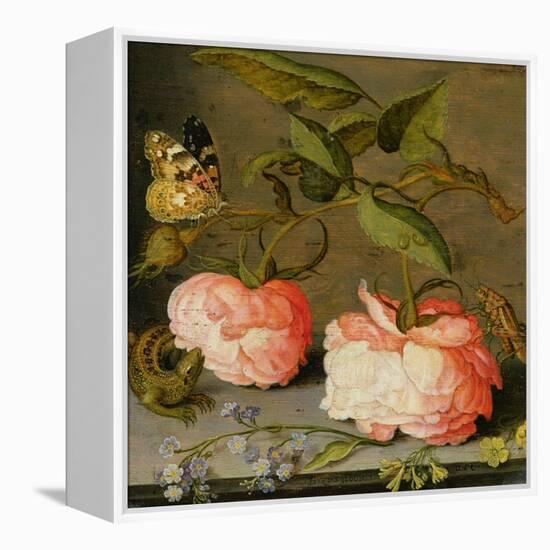 A Still Life with Roses on a Ledge-Balthasar van der Ast-Framed Premier Image Canvas