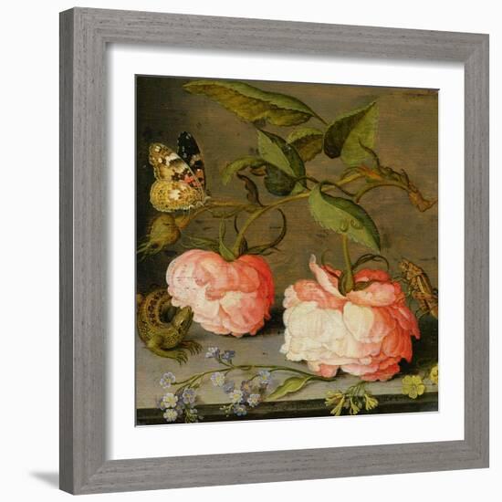 A Still Life with Roses on a Ledge-Balthasar van der Ast-Framed Giclee Print