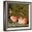 A Still Life with Roses on a Ledge-Balthasar van der Ast-Framed Giclee Print